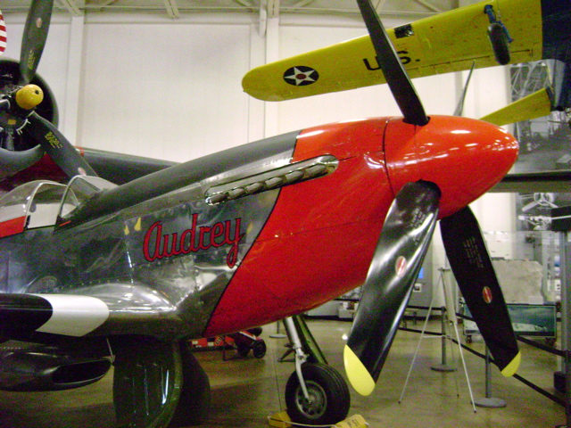 DSC00164.JPG
