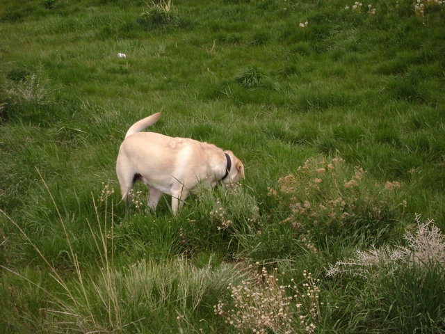 DSC00225.JPG